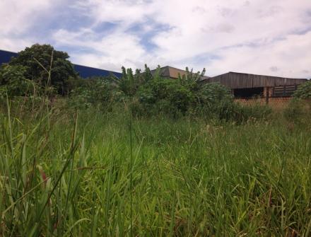 LIMPEZA DE TERRENO /ANTES