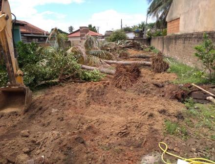 Remoção de Árvores. 