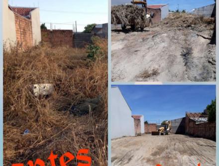 LIMPEZA DE TERRENO